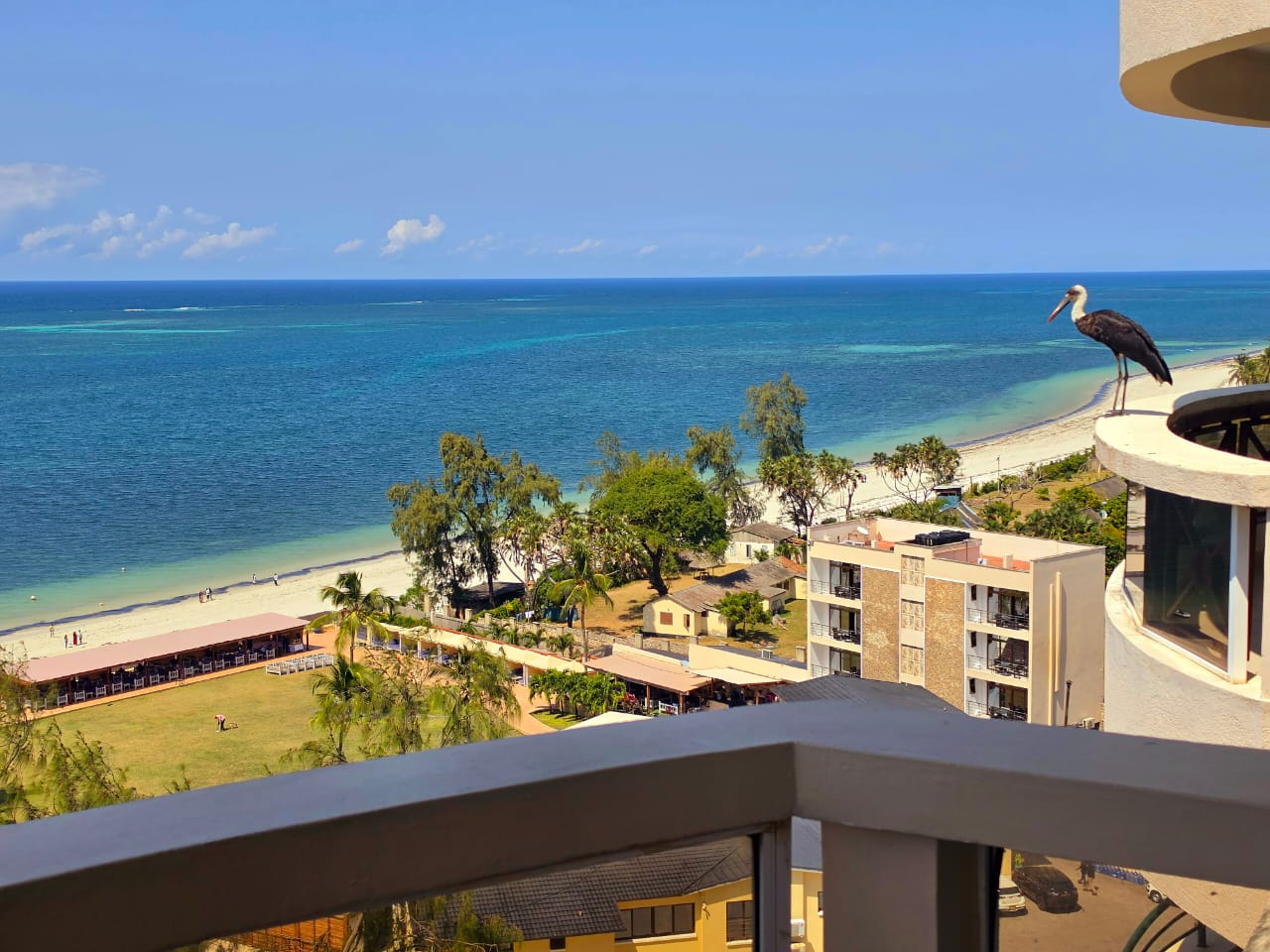Beach front breeze